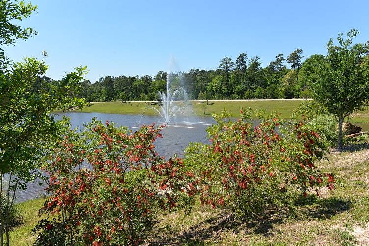 Lakes and Trails at Valley Ranch